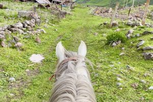 horseriding_stepantsminda_gudauri_adventure_georgia_with_skyatlantida (14)2