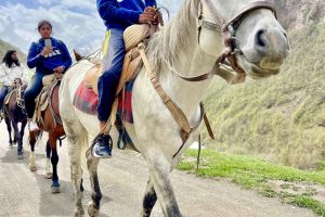 horseriding_stepantsminda_gudauri_adventure_georgia_with_skyatlantida (23)